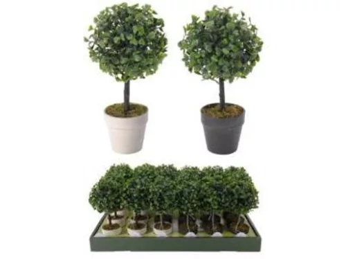 MŰNÖVÉNY CSEREPES 23CM 2F.