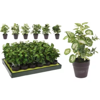 MŰNÖVÉNY CSEREPES 20CM 6F.