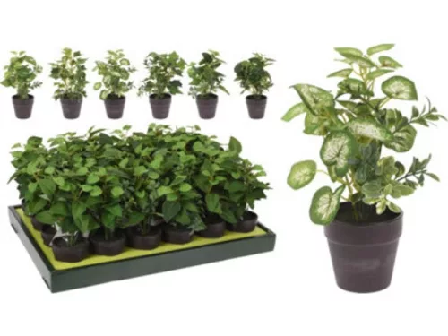 MŰNÖVÉNY CSEREPES 20CM 6F.