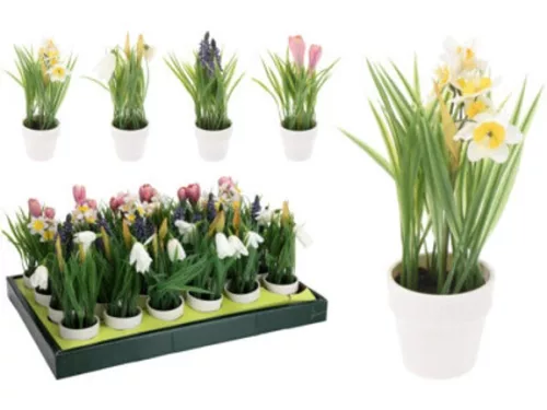 MŰNÖVÉNY TAVASZI CSEREPES 21CM 4F.