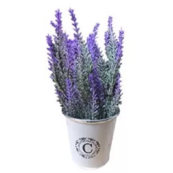 LEVENDULA FÉM KASPÓBAN 10X25CM