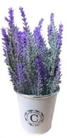 LEVENDULA FÉM KASPÓBAN 10X25CM