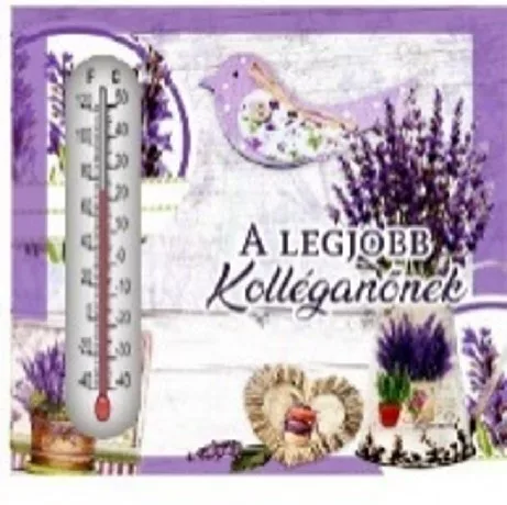HŐMÉRŐ KERÁMIA LEVENDULÁS 10X10CM "A LEGJOBB KOLLÉGANŐNEK"