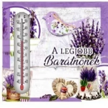   HŐMÉRŐ KERÁMIA LEVENDULÁS 10X10CM "A LEGJOBB BARÁTNŐNEK"