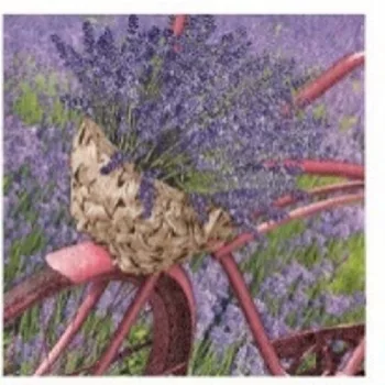 SZALVÉTA LEVENDULÁS BICIKLI 20DB 33X33CM