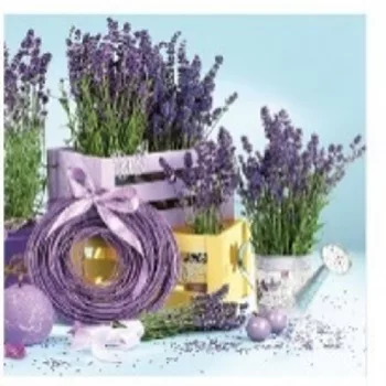 SZALVÉTA LEVENDULÁS 20DB 33X33CM