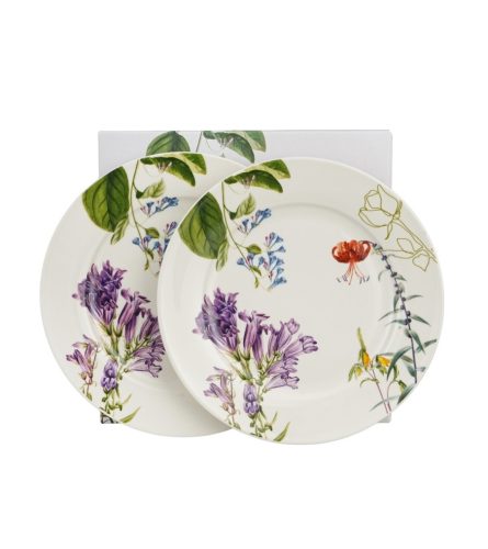 DESSZERT TÁNYÉR SZETT PORC. 2DB-OS COLORS OF NATURE 20CM