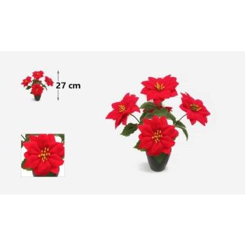 MIKULÁS VIRÁG CSERÉPBEN 5FEJÜ 27 CM