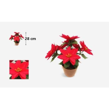 MIKULÁS VIRÁG CSRÉPBEN 7FEJÜ 28 CM