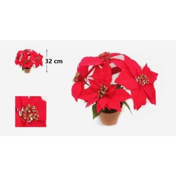 MIKULÁS VIRÁG CSRÉPBEN 5FEJÜ 32 CM