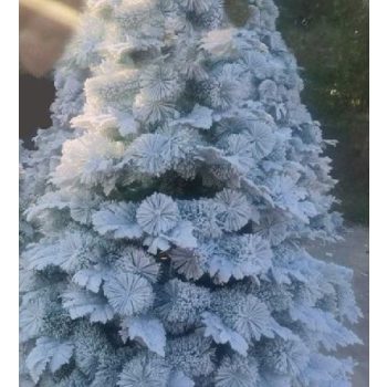 MŰFENYŐ HAVAS 210 CM