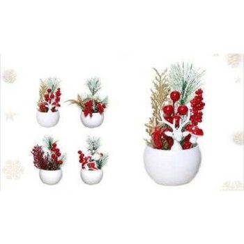 KARÁCSONYI CSEREPES NÖVÉNY 18CM