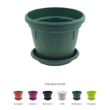 KASPÓ MŰA. KEREK TÖBB FÉLE SZÍN