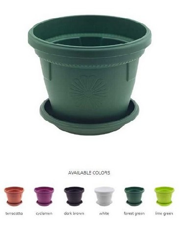 KASPÓ MŰA. KEREK TÖBB FÉLE SZÍN