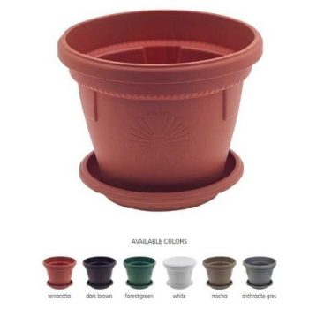 KASPÓ MŰA. KEREK ALAKÚ TÖBB FÉLE SZÍN