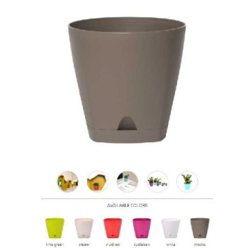 KASPÓ MŰA. TÖBB FÉLE SZÍN 8L