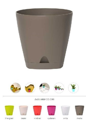 KASPÓ MŰA. TÖBB FÉLE SZÍN 8L