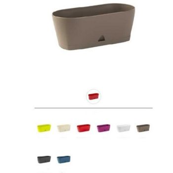 KASPÓ MŰA. TÖBB FÉLE SZÍN