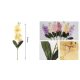 MŰVIRÁG ORCHIDEA 1 SZÁLAS 65CM TÖBBFÉLE SZÍN