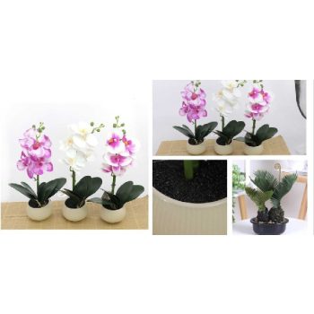 MŰVIRÁG CSEREPES ORCHIDEA 3F.