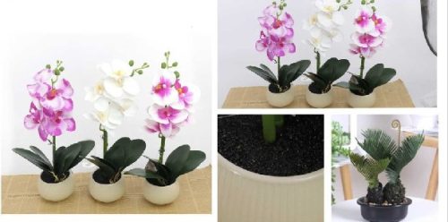 MŰVIRÁG CSEREPES ORCHIDEA 3F.