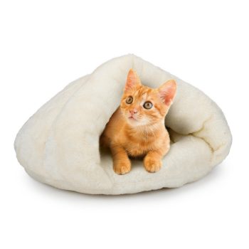 MACSKA FEKHELY BARLANG 33X32X24CM PLÜSS 2 FÉLE