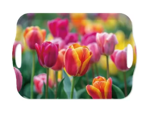 TÁLCA FÜLLEL 41,8X28,5X2,3 CM MŰA.  TULIPÁN