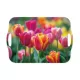 TÁLCA FÜLLEL 41,8X28,5X2,3 CM MŰA.  TULIPÁN