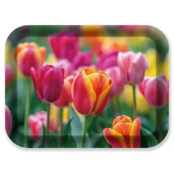 TÁLCA 33X24,5X1,8CM MŰA. TULIPÁN
