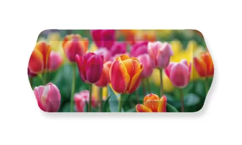 ZSERBÓS TÁLCA 33X14,5X2,5CM MŰA. TULIPÁN