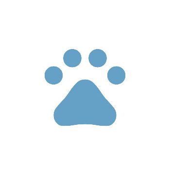 Kisállat, Háziállat